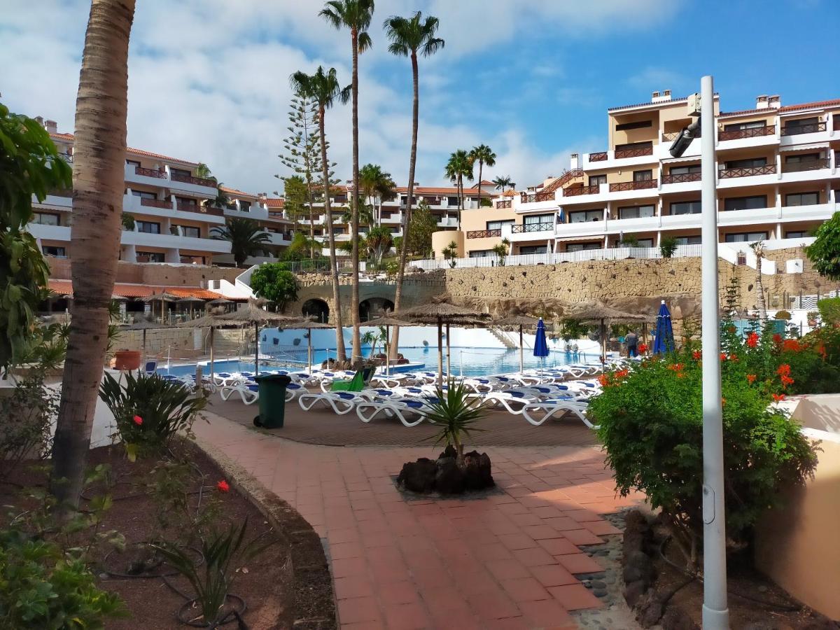 Apartment South Tenerife San Miguel de Abona Dış mekan fotoğraf